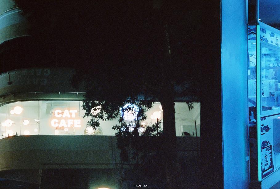 46